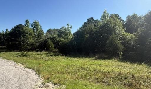 Photo #7 of 491 Crow Ln., Pageland, SC 60.0 acres