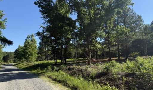 Photo #1 of 491 Crow Ln., Pageland, SC 60.0 acres