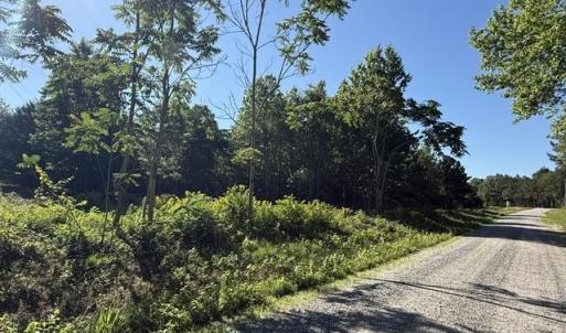 Photo #8 of 491 Crow Burk Rd, Pageland, SC 60.0 acres