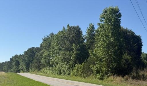 Photo #2 of 491 Crow Burk Rd, Pageland, SC 60.0 acres