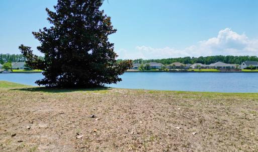 Photo #25 of 1113 Glossy Ibis Dr., Conway, SC 0.7 acres