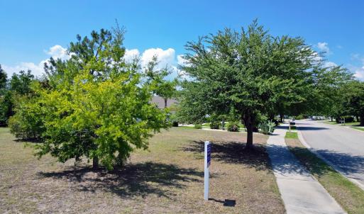 Photo #17 of 1113 Glossy Ibis Dr., Conway, SC 0.7 acres