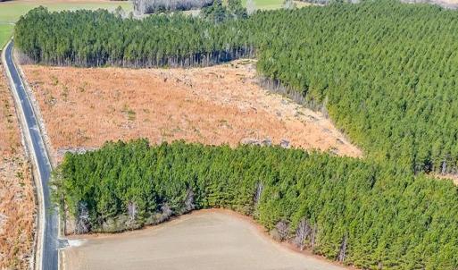Photo #6 of 4789 Grainger Circle, Green Sea, SC 27.5 acres