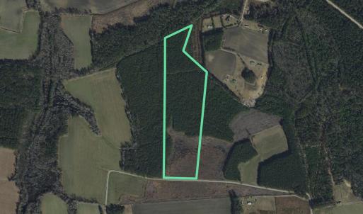 Photo #5 of 4789 Grainger Circle, Green Sea, SC 27.5 acres