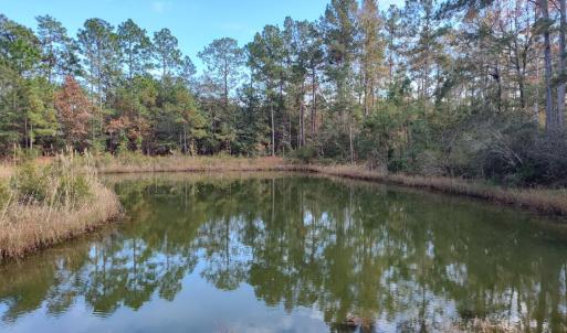 Photo #5 of 1804 Old Town Ave., Georgetown, SC 0.3 acres
