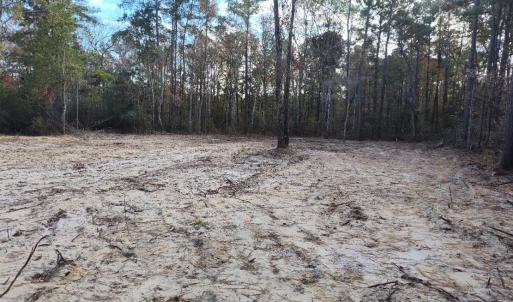 Photo #1 of 1804 Old Town Ave., Georgetown, SC 0.3 acres