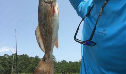 Photo #27 of 1804 Old Town Ave., Georgetown, SC 0.3 acres