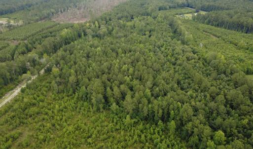 Photo #6 of Lot A Fries Bay Rd., Loris, SC 27.1 acres