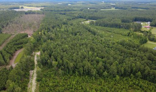Photo #3 of Lot A Fries Bay Rd., Loris, SC 27.1 acres
