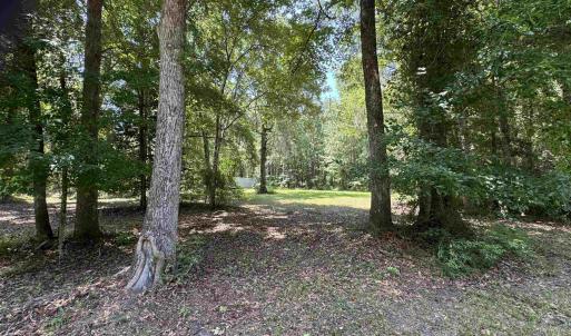 Photo #4 of 323 Stoudenmire St, Cameron, SC 2.1 acres