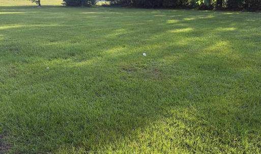 Photo #1 of 527 South Main St., Mullins, SC 0.5 acres
