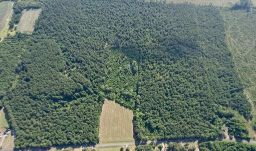 Photo #13 of 101.49 Acres - Epps Rd., New Zion, SC 101.5 acres