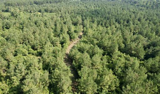 Photo #23 of 101.49 Acres - Epps Rd., New Zion, SC 101.5 acres