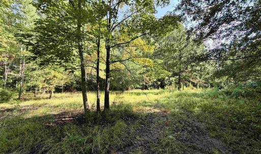 Photo #4 of 101.49 Acres - Epps Rd., New Zion, SC 101.5 acres