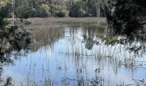 Photo #4 of 27 Pleasant Place Dr, Beaufort, SC 1.0 acres