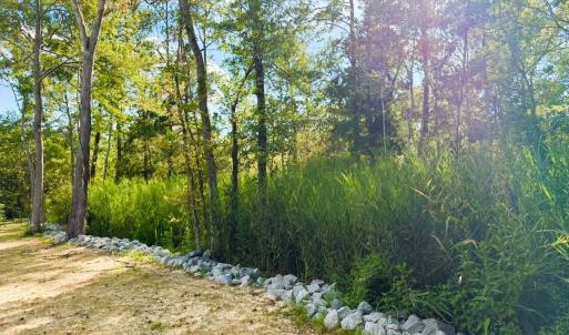 Photo #7 of 67 Ricefield Pl., Georgetown, SC 0.5 acres