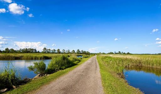 Photo #12 of 67 Ricefield Pl., Georgetown, SC 0.5 acres