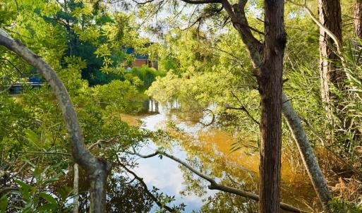 Photo #3 of 67 Ricefield Pl., Georgetown, SC 0.5 acres