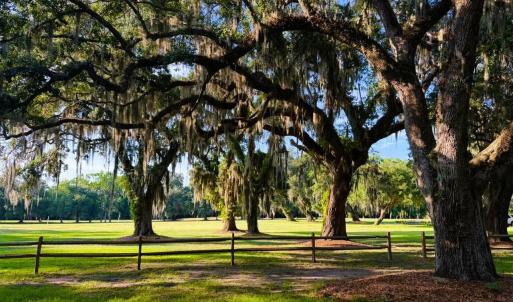 Photo #21 of 67 Ricefield Pl., Georgetown, SC 0.5 acres