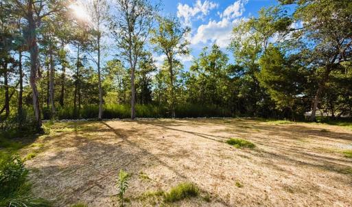 Photo #5 of 67 Ricefield Pl., Georgetown, SC 0.5 acres