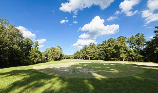 Photo #17 of 67 Ricefield Pl., Georgetown, SC 0.5 acres