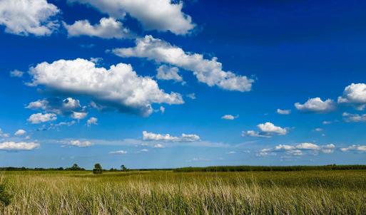 Photo #13 of 67 Ricefield Pl., Georgetown, SC 0.5 acres
