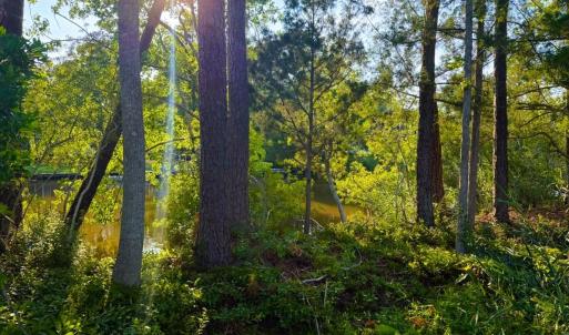 Photo #25 of 67 Ricefield Pl., Georgetown, SC 0.5 acres