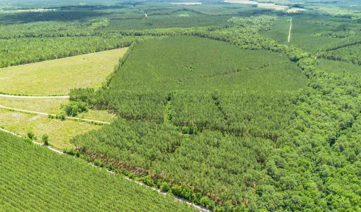 Photo #1 of TBD Ten Acre Rd., Andrews, SC 60.9 acres