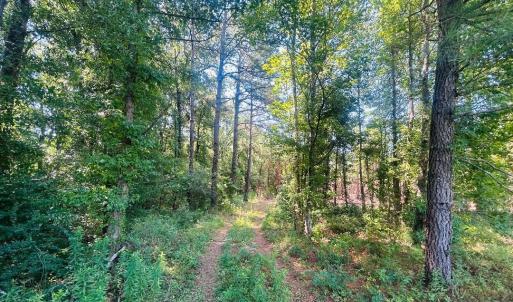 Photo #1 of 18.3 Acres - Turkey Ln, Kingstree, SC 18.3 acres