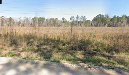 Photo #5 of TBD1 Old Forest Dr., Loris, SC 4.8 acres