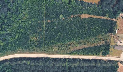 Photo #6 of TBD1 Old Forest Dr., Loris, SC 4.8 acres