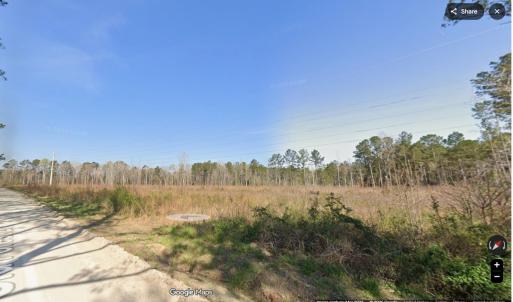 Photo #4 of TBD1 Old Forest Dr., Loris, SC 4.8 acres