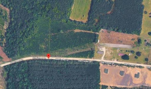 Photo #3 of TBD1 Old Forest Dr., Loris, SC 4.8 acres