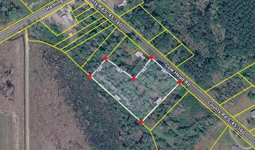 Photo #2 of TBD Cow Head Rd., Hemingway, SC 1.8 acres