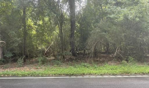 Photo #4 of TBD Cow Head Rd., Hemingway, SC 1.8 acres