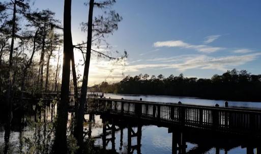 Photo #7 of 524 Chamberlin Rd., Myrtle Beach, SC 0.5 acres