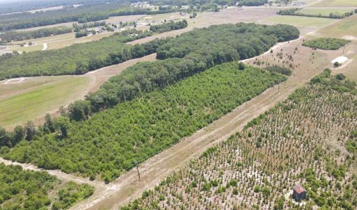 Photo #7 of 25.10 Acres - Society Hill Rd, Darlington, SC 25.1 acres