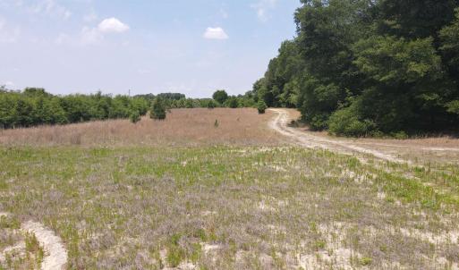 Photo #13 of 25.10 Acres - Society Hill Rd, Darlington, SC 25.1 acres