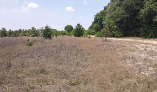 Photo #14 of 25.10 Acres - Society Hill Rd, Darlington, SC 25.1 acres