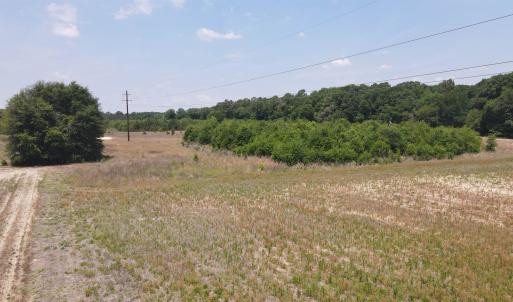 Photo #19 of 25.10 Acres - Society Hill Rd, Darlington, SC 25.1 acres