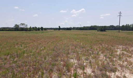 Photo #12 of 25.10 Acres - Society Hill Rd, Darlington, SC 25.1 acres