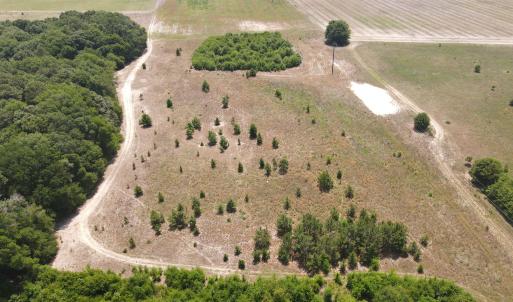Photo #9 of 25.10 Acres - Society Hill Rd, Darlington, SC 25.1 acres