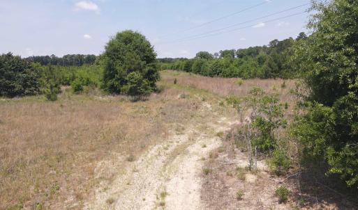 Photo #17 of 25.10 Acres - Society Hill Rd, Darlington, SC 25.1 acres