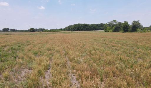 Photo #11 of 25.10 Acres - Society Hill Rd, Darlington, SC 25.1 acres