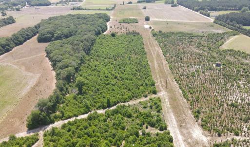 Photo #6 of 25.10 Acres - Society Hill Rd, Darlington, SC 25.1 acres
