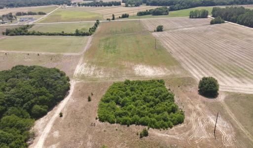Photo #10 of 25.10 Acres - Society Hill Rd, Darlington, SC 25.1 acres