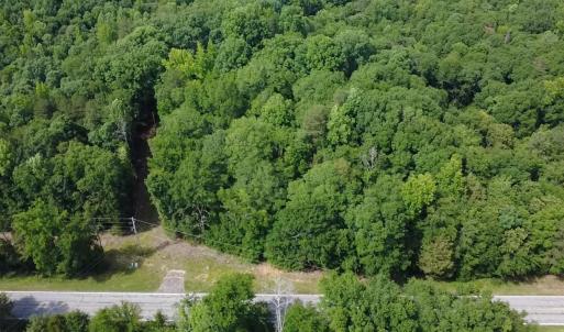 Photo #3 of 6142 Hwy 252, Donalds, SC 8.0 acres