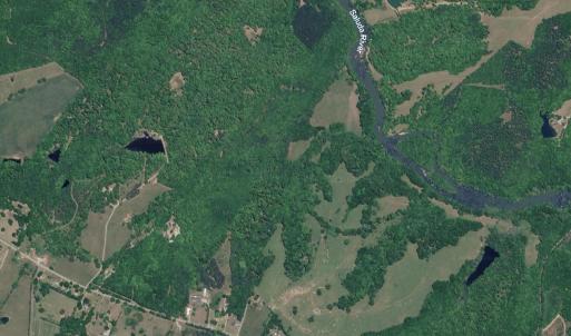 Photo #2 of 6142 Hwy 252, Donalds, SC 8.0 acres