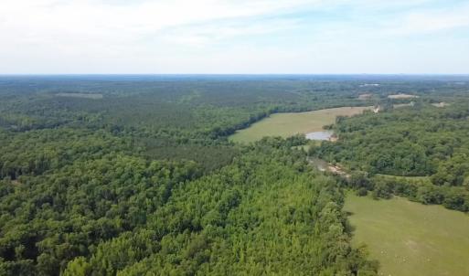 Photo #5 of 6070 Hwy 252, Donalds, SC 57.5 acres