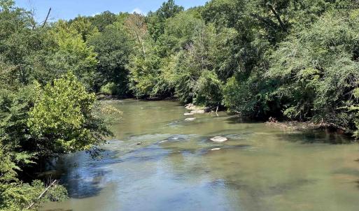 Photo #8 of 6070 Hwy 252, Donalds, SC 57.5 acres